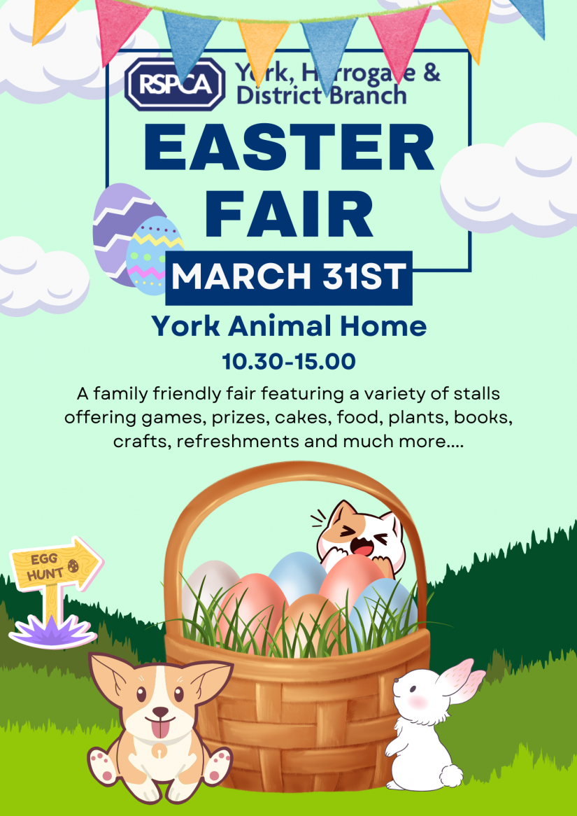 RSPCA York, Harrogate & District Branch Easter Fair 2024